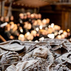 Allerheiligen Stephansdom / Erzdiözese Wien/Schönlaub, Stephan Schönlaub Allerheiligen Stephansdom