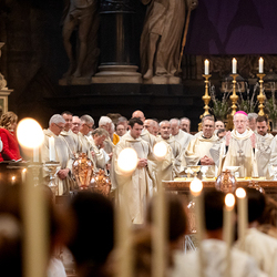 Chrisammesse 2025 / Erzdiözese Wien/ Schönlaub, Stephan Schönlaub