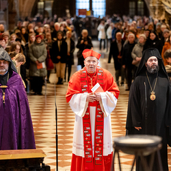 Erzdiözese Wien/ Schönlaub, Stephan Schönlaub
