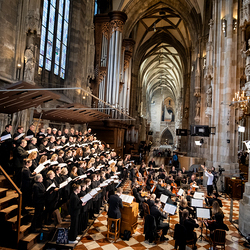 Stephansdom: Österreich nahm Abschied von Papst Franziskus / Erzdiözese Wien/ Schönlaub, Stephan Schönlaub Stephansdom: Österreich nahm Abschied von Papst Franziskus