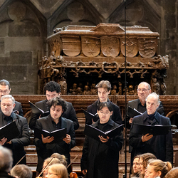 Allerheiligen Stephansdom / Erzdiözese Wien/Schönlaub, Stephan Schönlaub Allerheiligen Stephansdom