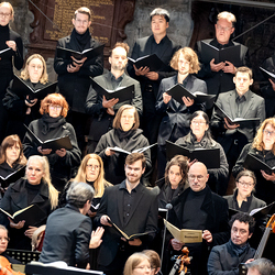 Allerheiligen Stephansdom / Erzdiözese Wien/Schönlaub, Stephan Schönlaub Allerheiligen Stephansdom
