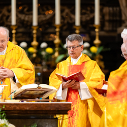 Priesterjubiläen / Erzdiözese Wien/Schönlaub