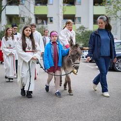 Palmsonntag Pfarre Heilige Mutter Teresa / Erzdiözese Wien/Feuchtner