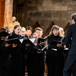 2025 Karfreitag / Erzdiözese Wien/Schönlaub